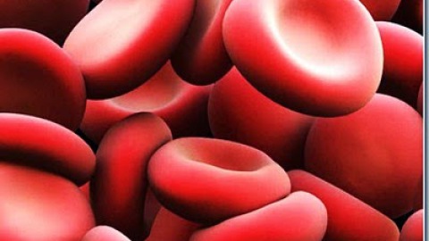 Prodotti ematici: sangue intero e concentrato di eritrociti