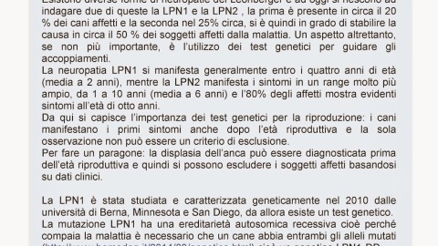 LPN1-LPN2 Polineuropatie del Leonberger