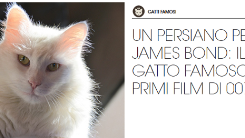 Gatti famosi: il gatto cattivo nei film di James Bond – Petpassion.tv
