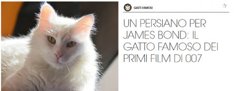Gatti famosi: il gatto cattivo nei film di James Bond – Petpassion.tv