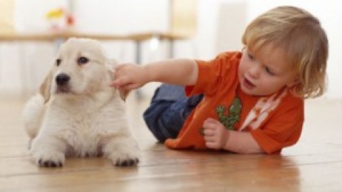 Quali sono i comportamenti dei bambini che infastidiscono i cani? – Petpassion.tv