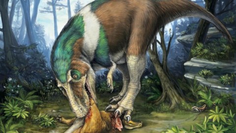 L’arma segreta del dente del T. Rex – Scienze Fanpage