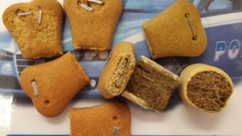 Biscotti anti-cane “farciti” di punte metalliche, preso il responsabile … – FoggiaToday