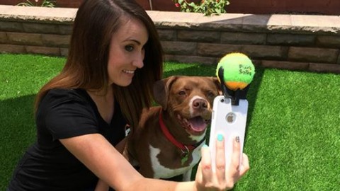 Il geniale accessorio per il selfie perfetto con il vostro cane (FOTO E … – greenMe.it