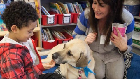 I cani che “insegnano” a leggere agli studenti più in difficoltà – greenMe.it