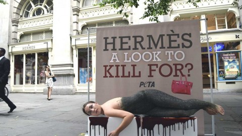 Accordo tra Hermès e Jane Birkin, il nome dell'attrice resta sulla … – LifeGate