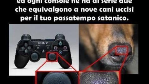 La Nintendo e i nasi di cane usati per fare i joystick – next