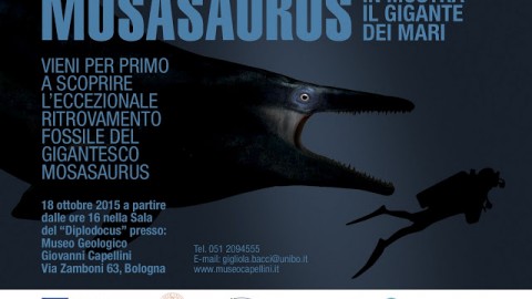 Mosasaurus: in mostra il gigante dei mari – Pikaia