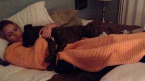 Sci, Lindsey Vonn morsa dal suo cane: operata – Il Sole 24 Ore