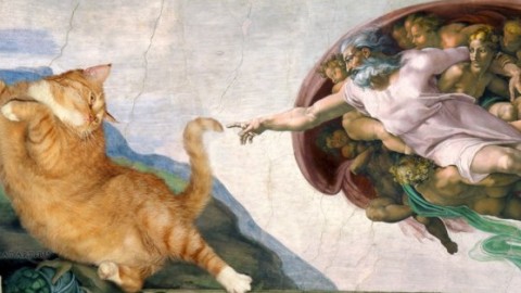 C'è un gatto nel capolavoro: l'arte fa miao – La Repubblica