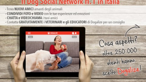Social: con Dogalize potete regalare un pasto a un cane – Udine20