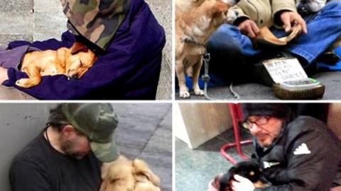 Appello per i senzatetto con il cane – Corriere della Sera