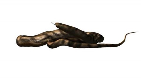 I serpenti moderni derivano da lontani parenti fossori – Pikaia