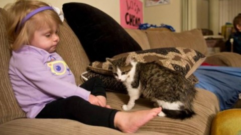 Doc, il gatto a 3 zampe adottato da Scarlette, una bimba che sa cosa … – Velvet Pets Italia (Blog)