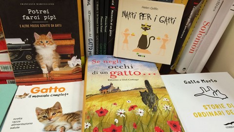 Cinque imperdibili libri sui gatti – GraphoMania (Blog)
