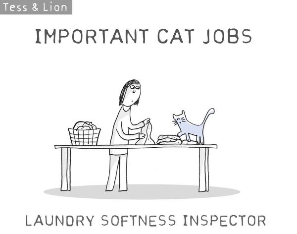 6. lavoro gatti