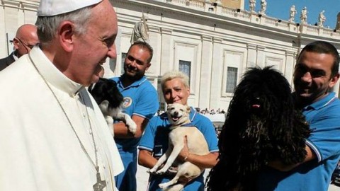 Papa Francesco: “Maledetto benessere, ci fa preferire un cane o un … – Il Sole 24 Ore