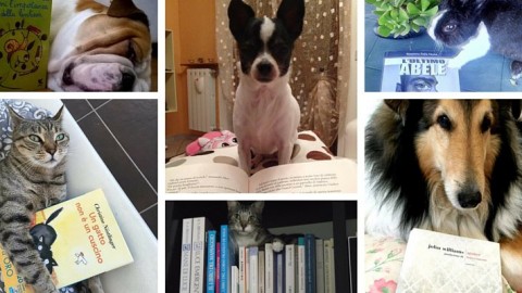Books & Pets. Cani, gatti e gli altri animali protagonisti della … – Libreriamo