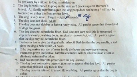 Padre stipula un contratto per consentire ai figli di avere un cane – nostrofiglio.it