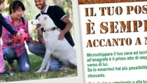 Parma aderisce alla campagna contro l'abbandono degli animali – ParmaToday