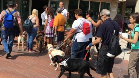 Rimini, chiama i carabinieri perché vuole allontanare i cani guida … – Il Fatto Quotidiano