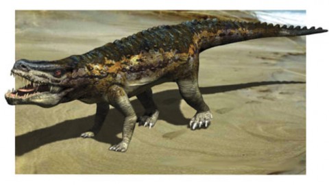 Trovati gli antenati dei dinosauri, vecchi di 230 milioni di anni – Il Faro