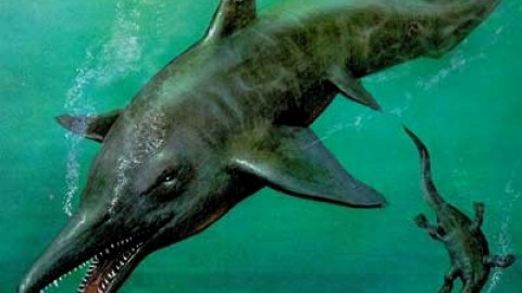 Il “cugino” del mostro di Loch Ness di milioni di anni fa, il feroce … – in20righe