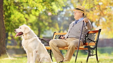 Come si comporta un cane anziano, i consigli per una vecchiaia … – LifeGate