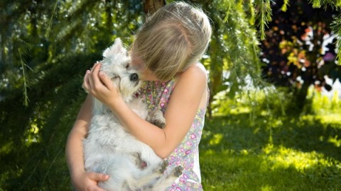 Attenti al cane: spesso i genitori sottostimano i rischi per i bimbi piccoli – nostrofiglio.it
