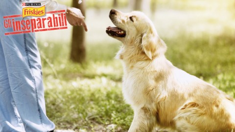 Bisogni dei cani: evita le multe! – Petpassion.tv