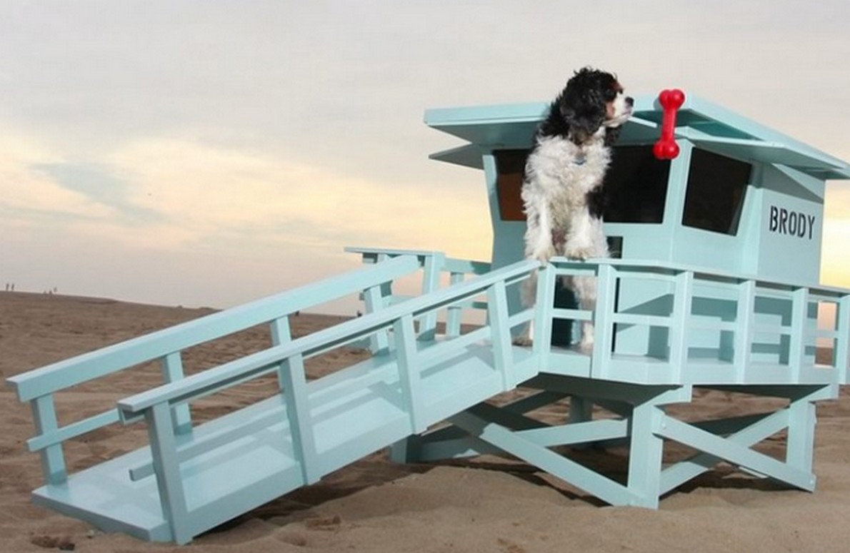 Una cabina per cani bagnini