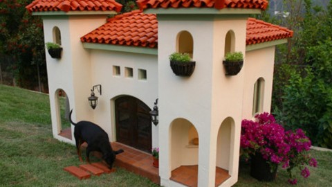 Quando il cane ha una casa più bella della tua – idealista.it/news