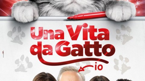 Una vita da gatto: trailer italiano della commedia con Kevin Spacey – Cineblog.it (Blog)
