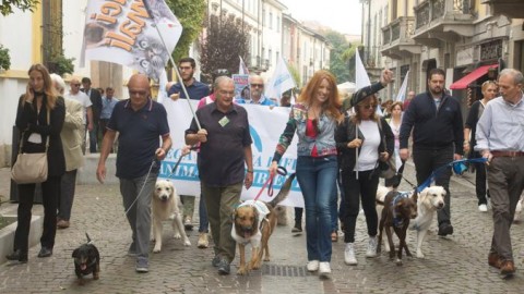 Cani nei parchi, a Lodi la marcia dopo la “vittoria” – Il Cittadino
