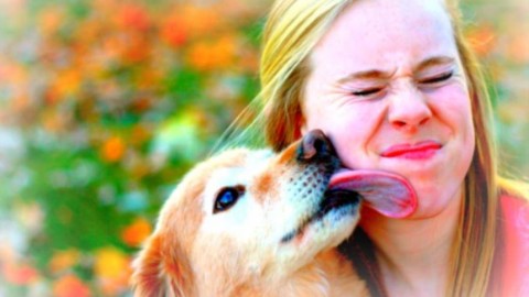 “Non fatevi leccare dal cane”: allarme vecchio e esagerato – Intelligonews