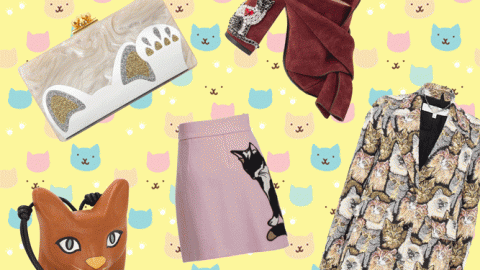 Cat-mania: la moda ama i gatti – Luuk Magazine