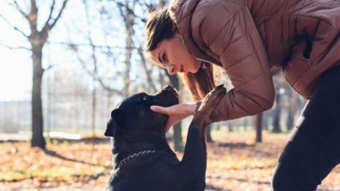 Il cane scopre se hai un tumore – Donna Moderna