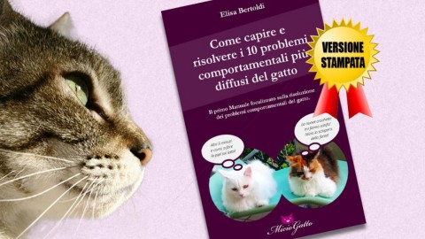 Animali: come capire e risolvere i 10 problemi comportamentali più … – Meteo Web