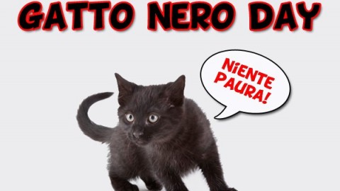 Il 17 Novembre si celebra il “Gatto Nero Day”, la giornata mondiale … – Meteo Web