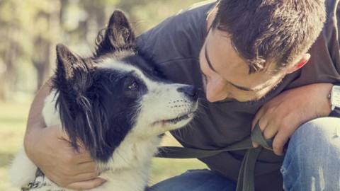 Un corso formativo per proprietari di cani: per conoscerli e gestirli … – Ravennanotizie.it