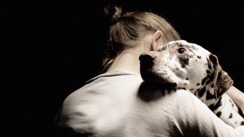 “Gli animali domestici sono fondamentali per la salute mentale degli … – L'Huffington Post