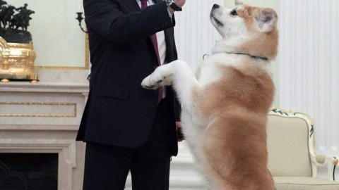 Putin e la passione per i cani (e non solo) – Corriere della Sera