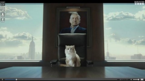 Una vita da gatto, dal 7 dicembre al cinema 'Mister Pelosone', trailer … – Blasting News