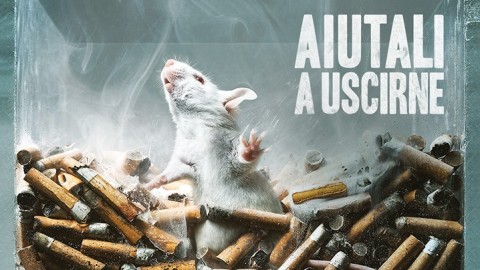 No a test animali per sostanze abuso: domani consegna firme al Ministero