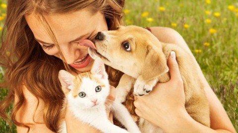 Hai cani o gatti? Attento alle infezioni che possono trasmettere – Ok Salute e Benessere