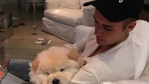 Justin Bieber ama o detesta gli animali? Abbandona il cane e non … – Blasting News