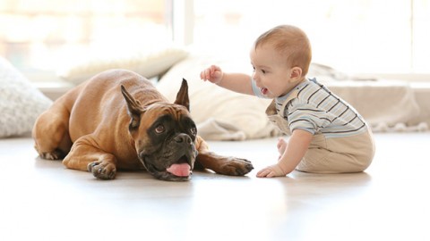 Cani e bambini condividono la stessa intelligenza sociale – GreenStyle