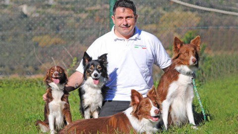 A Tovo San Giacomo lo spot di “Nova Foods” con i cani-eroi del … – Il Vostro Giornale