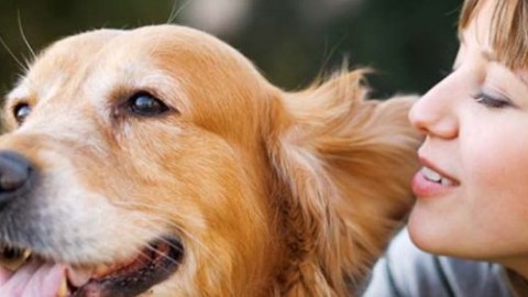 Animali: un'emozione per due, cani tristi o felici come i padroni – Meteo Web