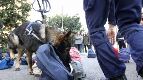 Scuola: cane antidroga davanti a Chierici, Scaruffi e al polo Makallè … – Reggionline